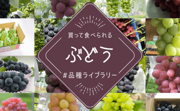 農家直送のぶどう32種類ご紹介
