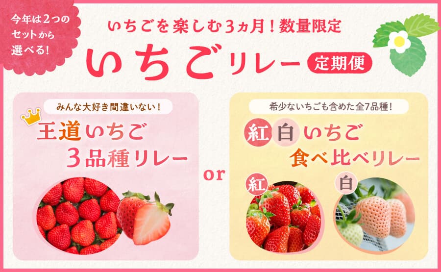 いちごを楽しむ3ヵ月!「いちごリレー定期便」