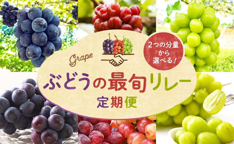 ぶどうを味わう3ヶ月『ぶどうの最旬リレー定期便』