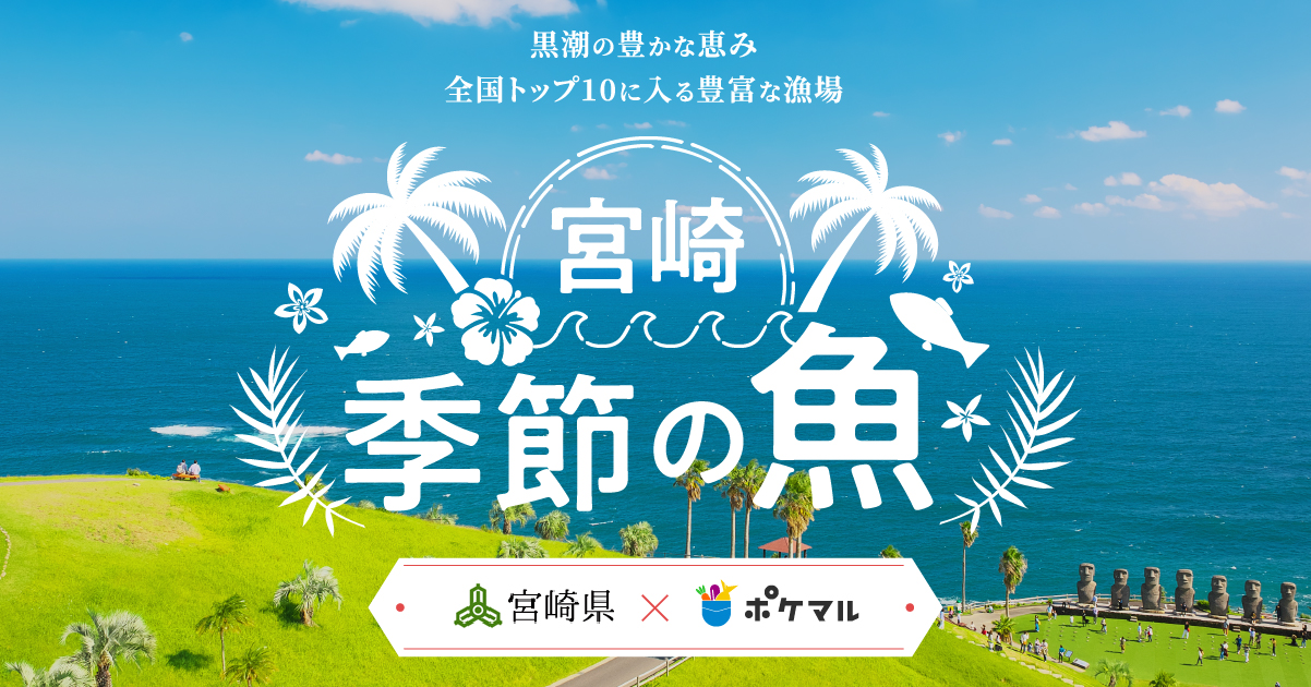 有限会社大田商店｜大田幸宏｜漁師を知る｜［宮崎季節の魚］宮崎県