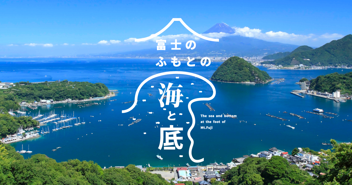 富士のふもとの海と底｜沼津市の海を味わう水産ガイド