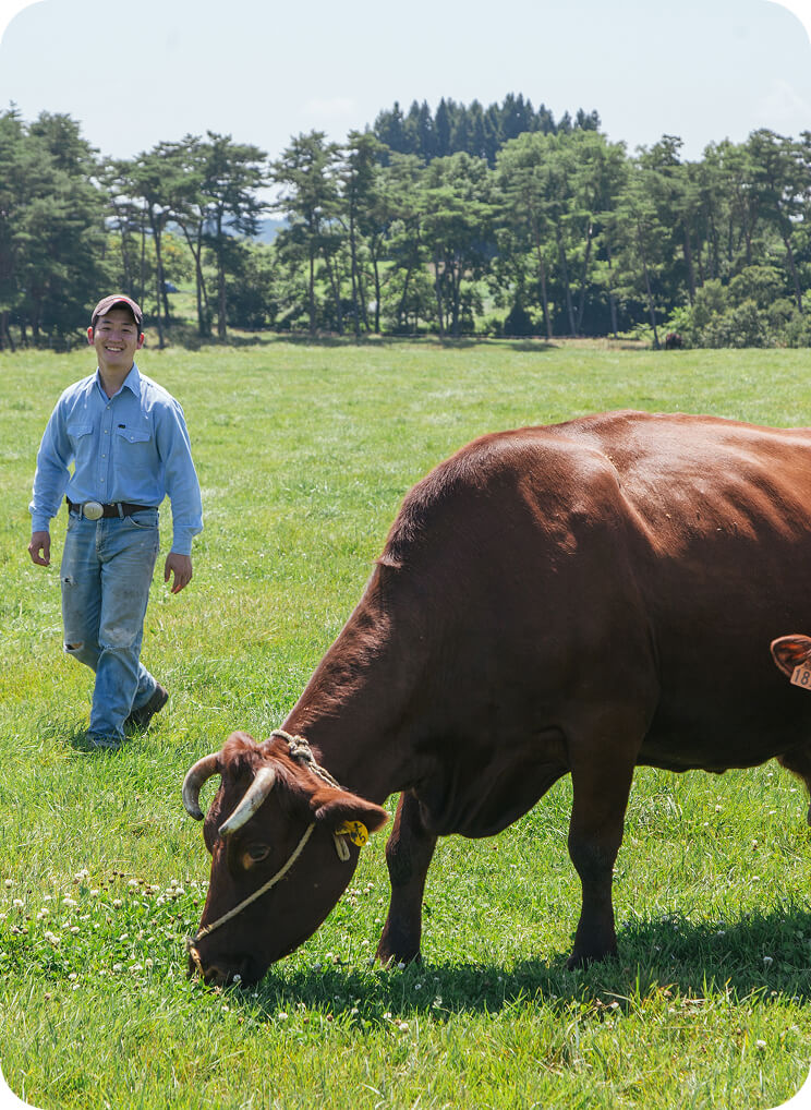 放牧地で牛を育てる生産者