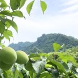 群馬県