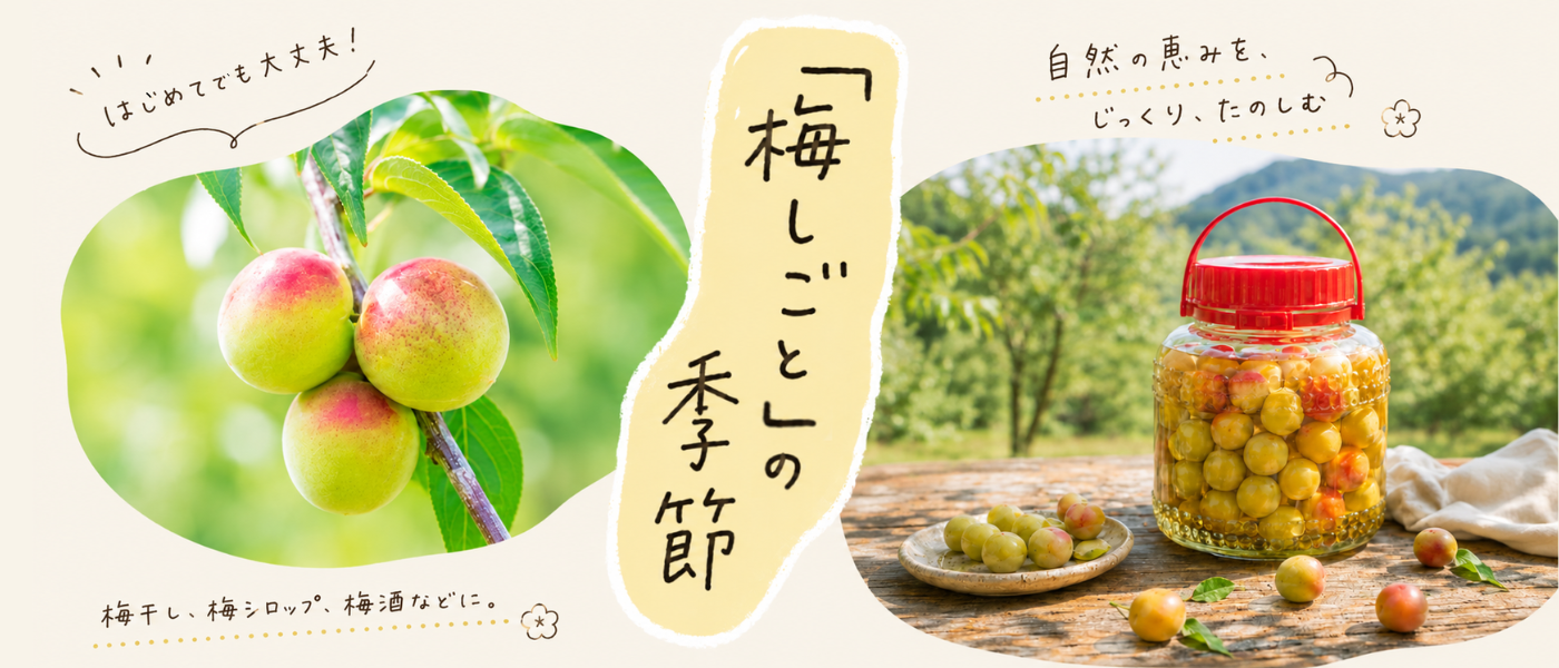 梅しごとの季節